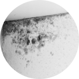 chống bụi, mốc