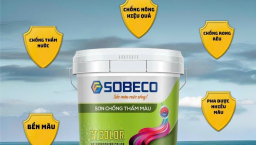 Hướng dẫn chọn các loại sơn tường cho không gian sống sinh động